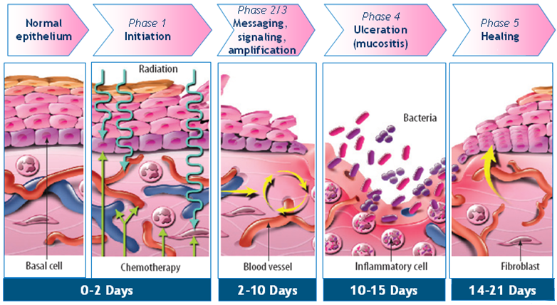 Pharmacology of Oral Mucositis